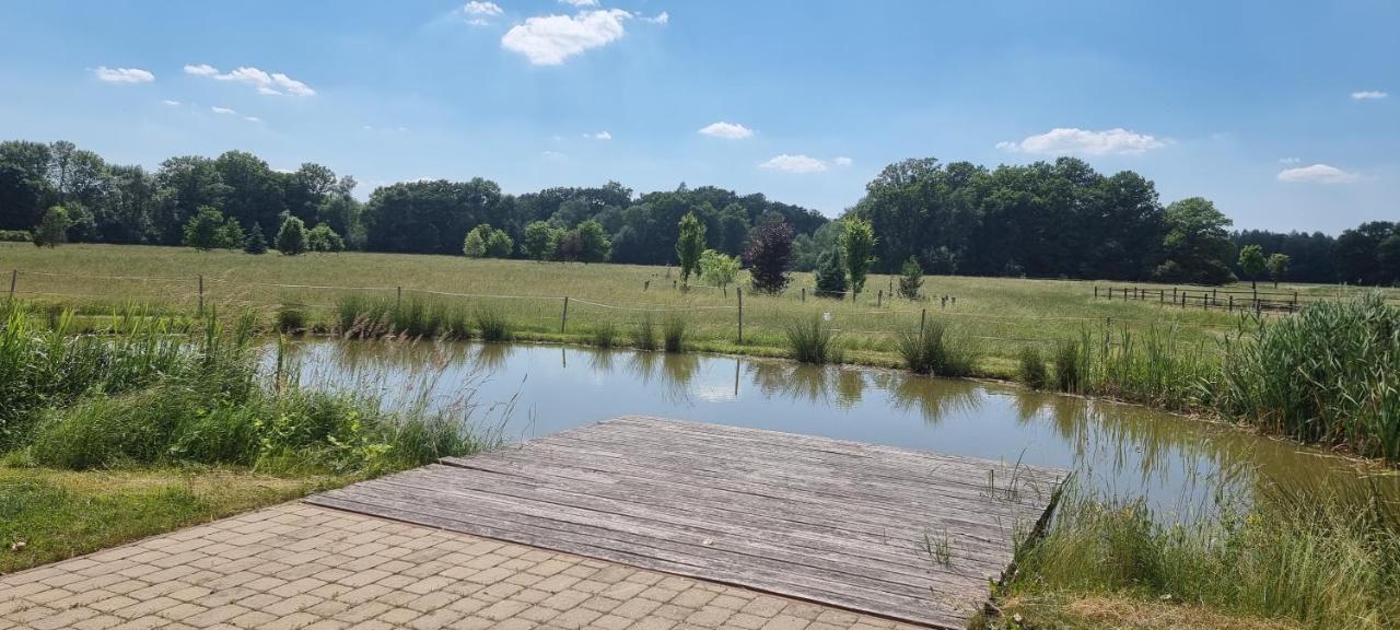 Villa Ranc Orlice Třebechovice pod Orebem Exterior foto