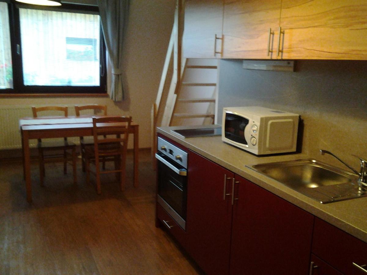 Villa Ranc Orlice Třebechovice pod Orebem Exterior foto